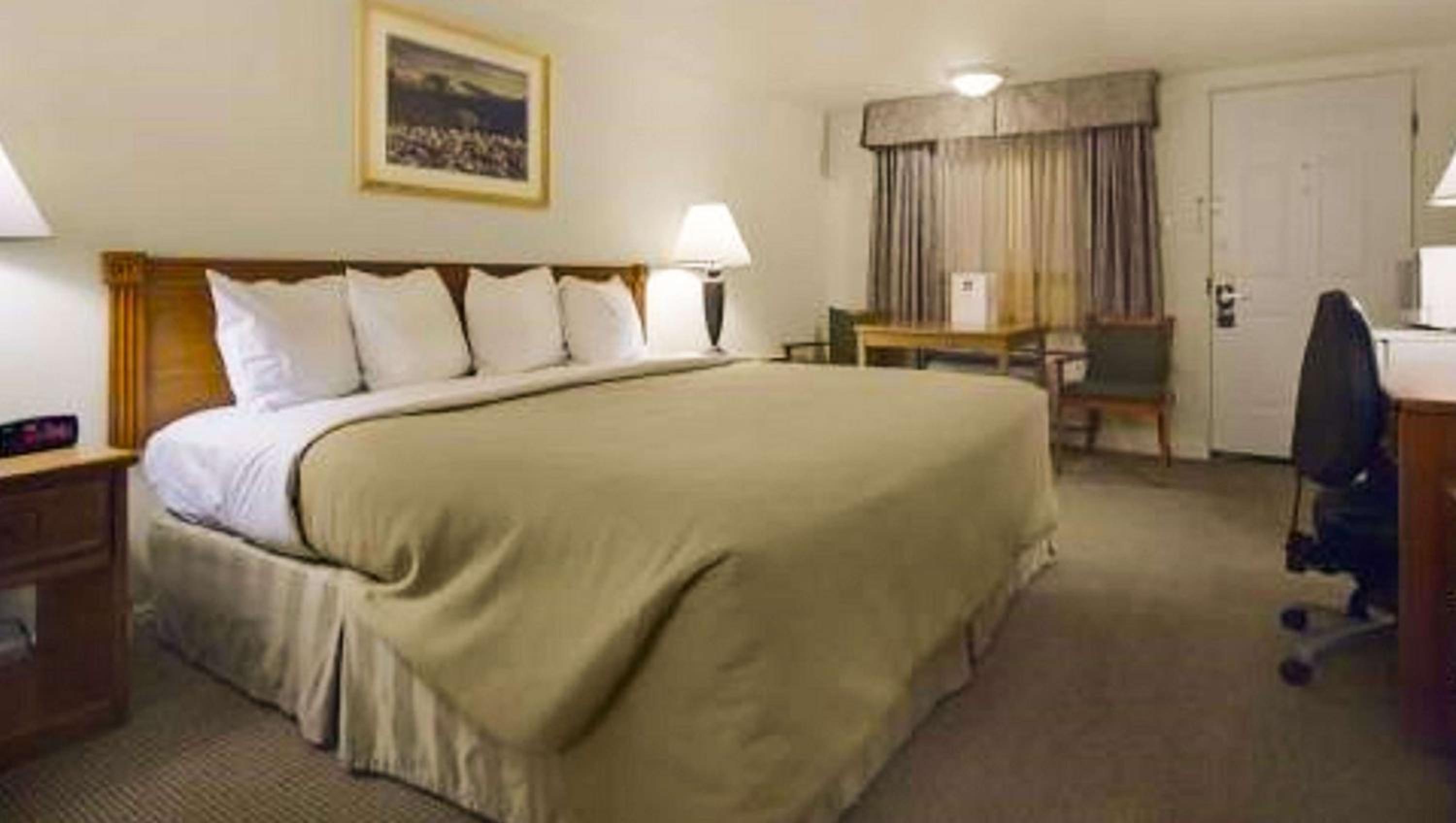 King Room - Disability Access photo 1