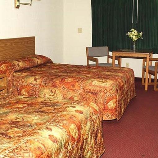 Queen Room with Two Queen Beds photo 3