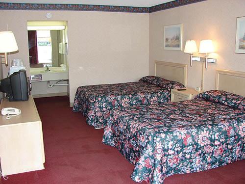 Double Room with Two Double Beds photo 2