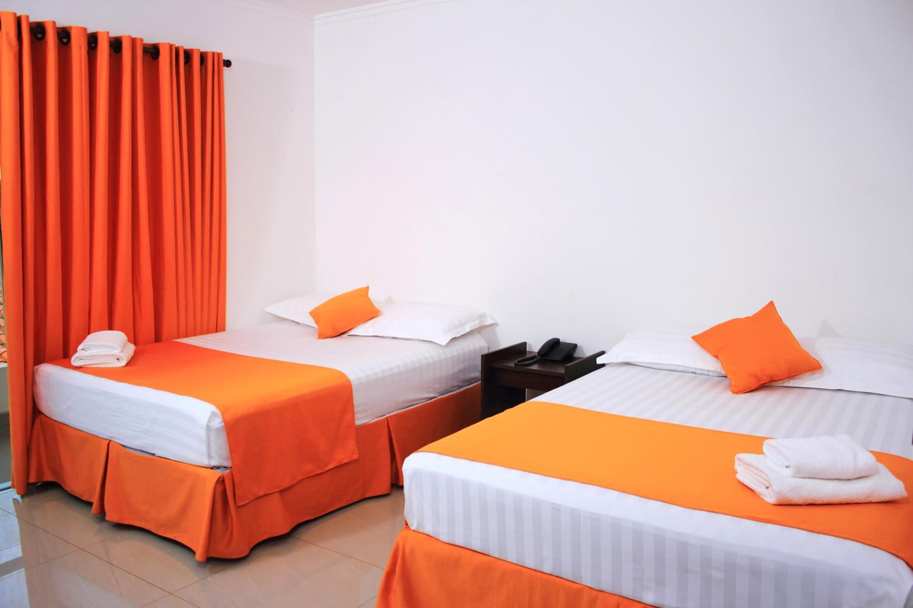 Twin Room photo 3