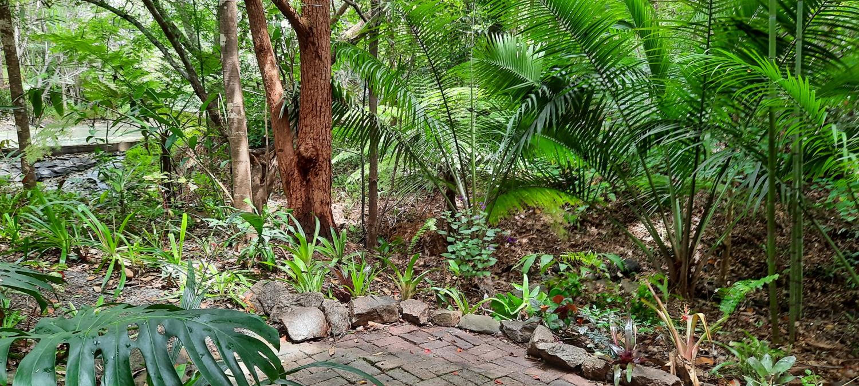 Deluxe Bungalow with Garden View photo 2