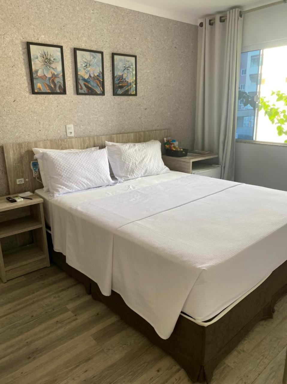 Superior Single Room photo 1