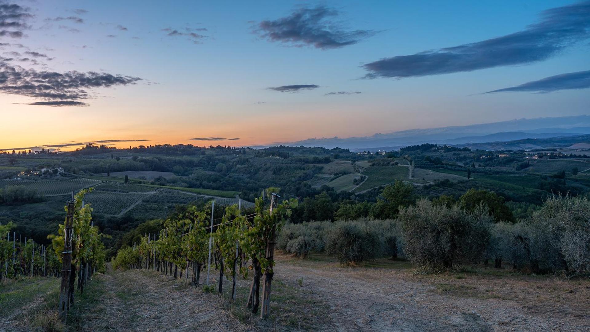 Three-Bedroom Villa photo 2