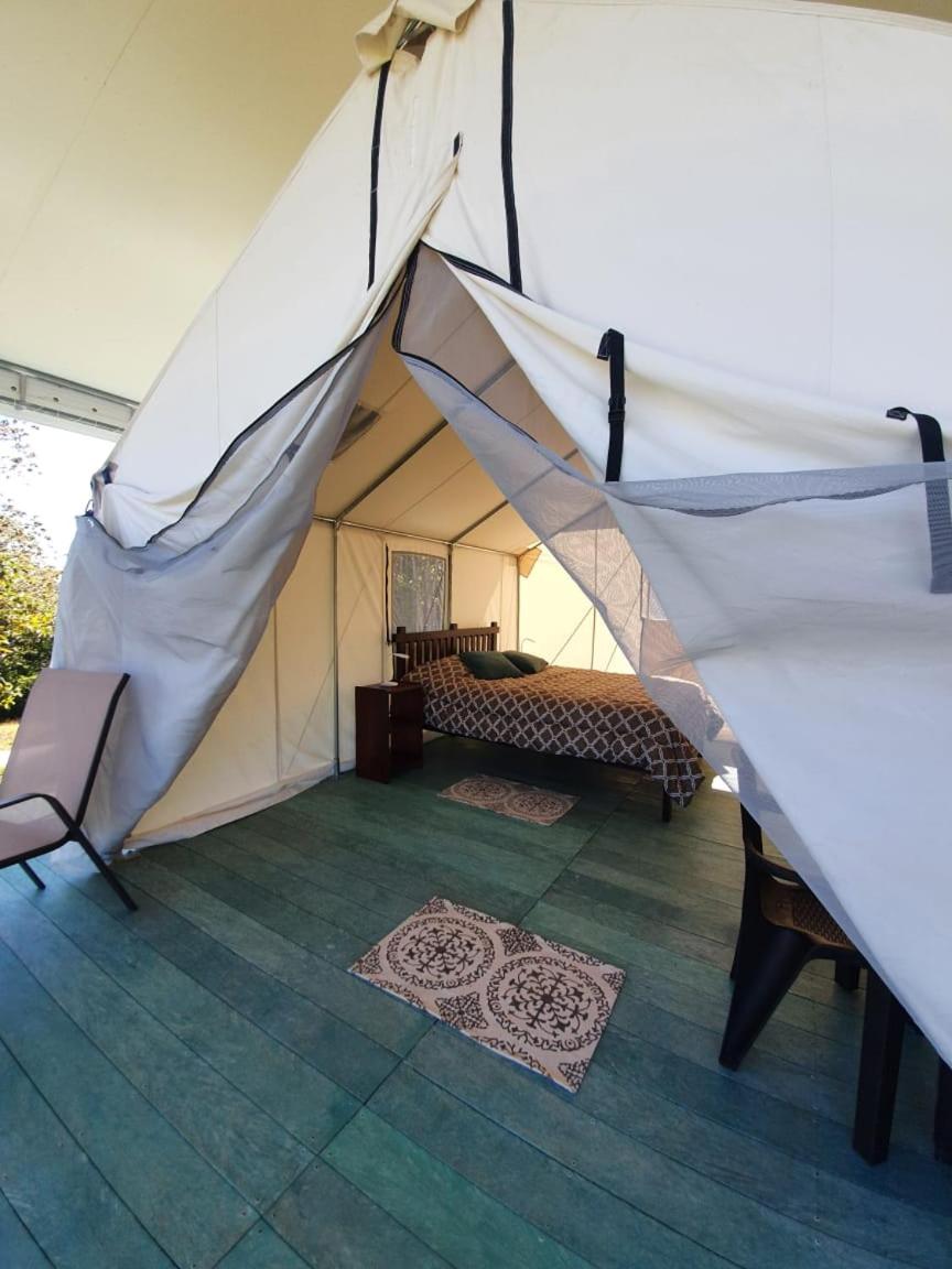 Tent photo 1