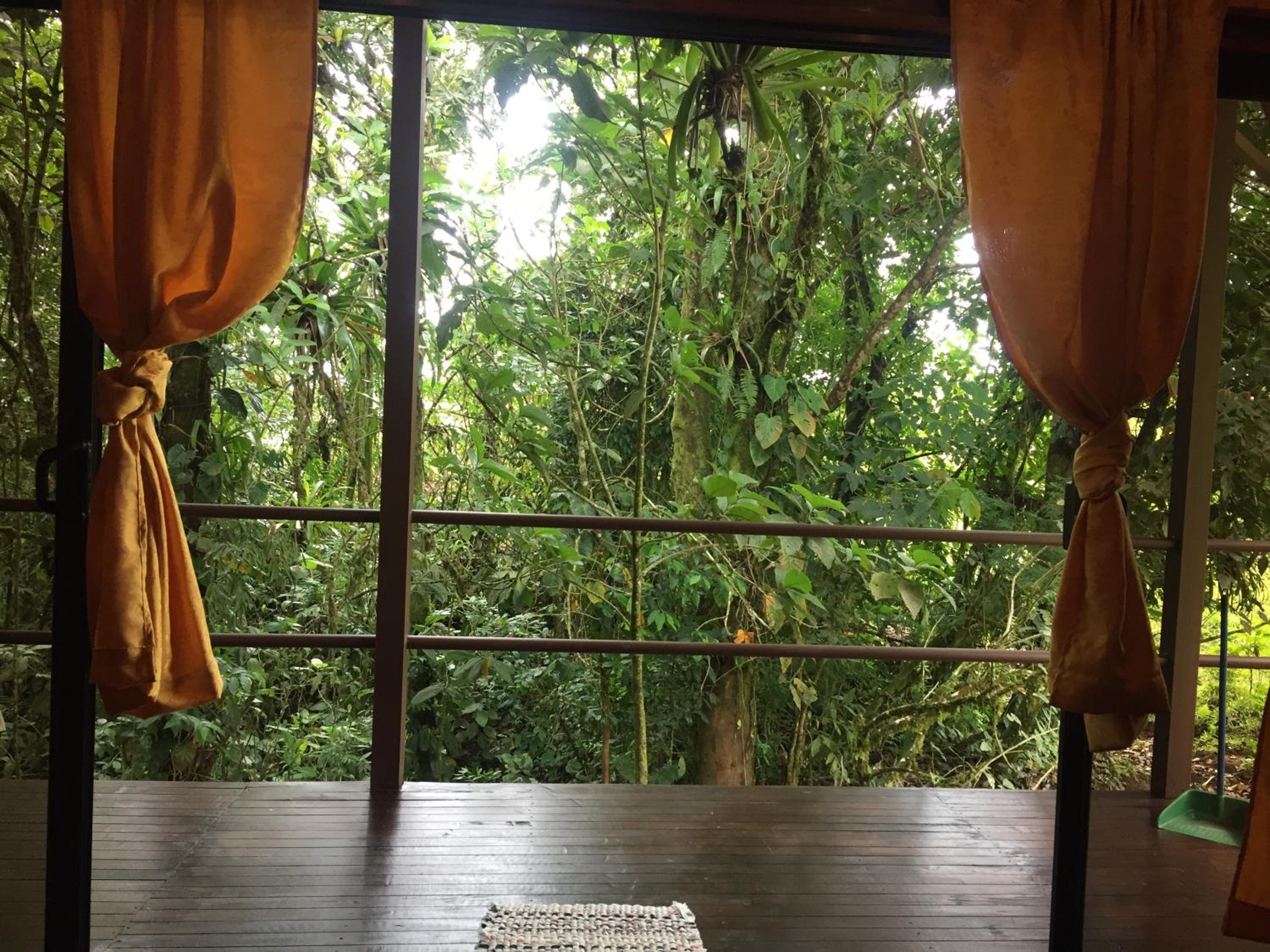 Bungalow with Forest View photo 3