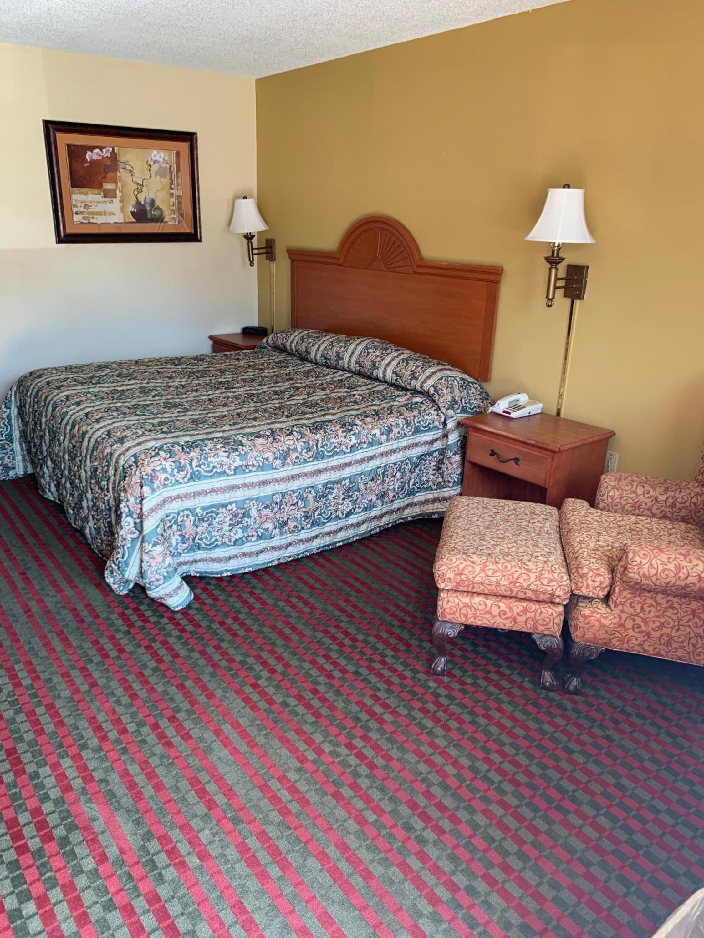 Single Room - Disability Access photo 1