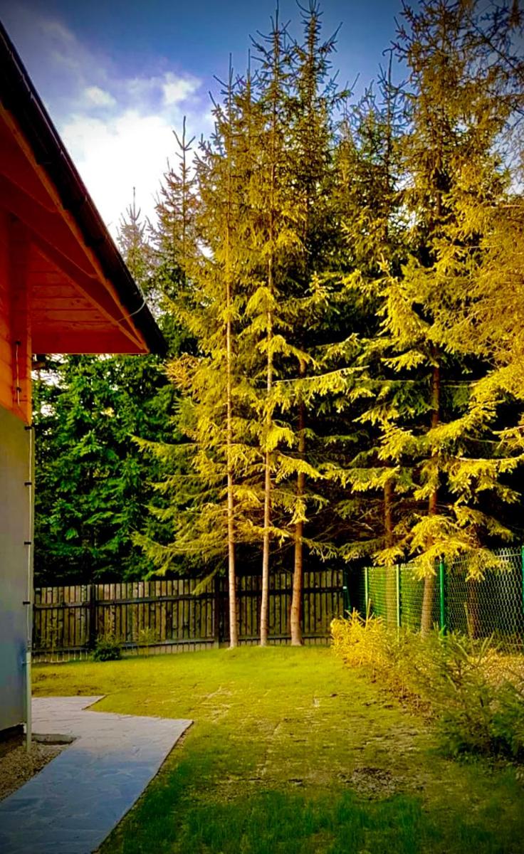 Five-Bedroom House photo 2