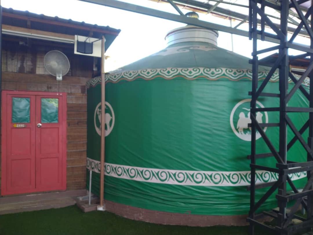 Mongolian Yurt 5 Pax (Private Toilet) - Photo 8