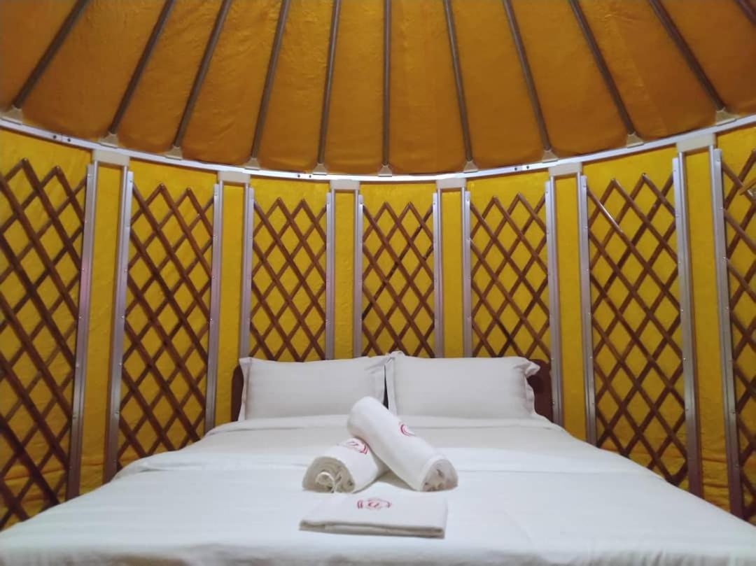 Deluxe Mongolian Yurt 2 Pax (Private Toilet) - Photo 6