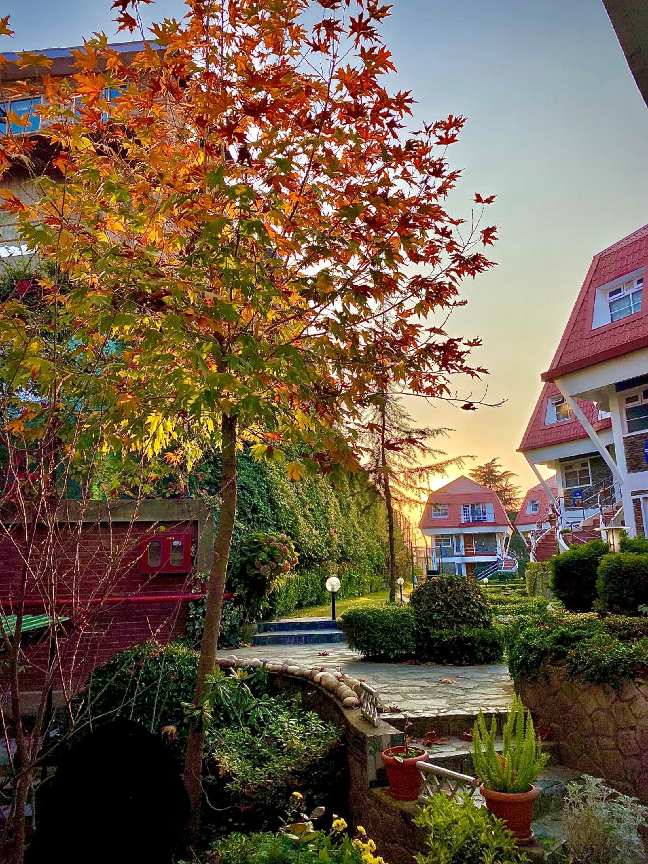 Swiss Duplex Cottage With Private Garden 02 bedrooms + 01 living Room, Complimentry Evening Tea-Coffee with cookies at open terrace Swiss Duplex Cottage With Private Garden 02 bedrooms + 01 living Room, Complimentry Evening Tea-Coffee with cookies at open terrace