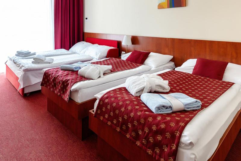Double or Twin Room with Extra Bed, Balcony and Aquapark access photo 1