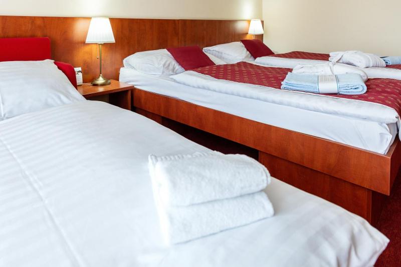 Double or Twin Room with Extra Bed and Aquapark access photo 2