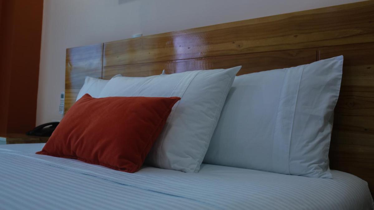Superior Double Room photo 3