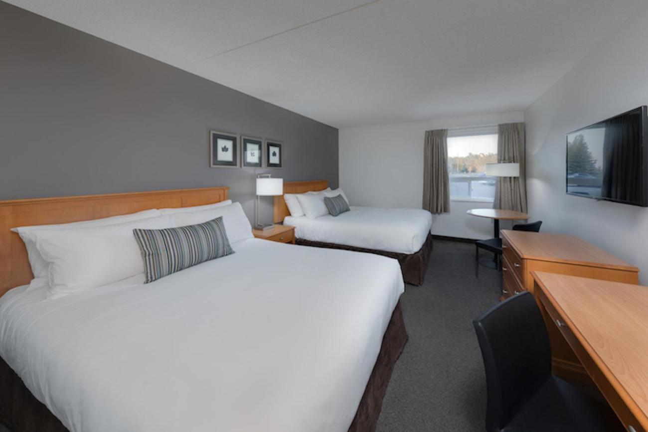Two Queen Beds (Pet Friendly Room)