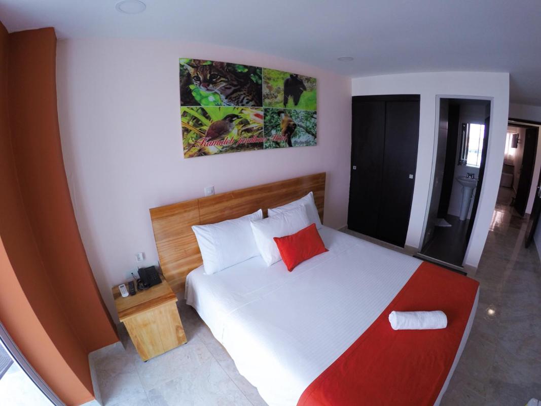Superior Double Room photo 2