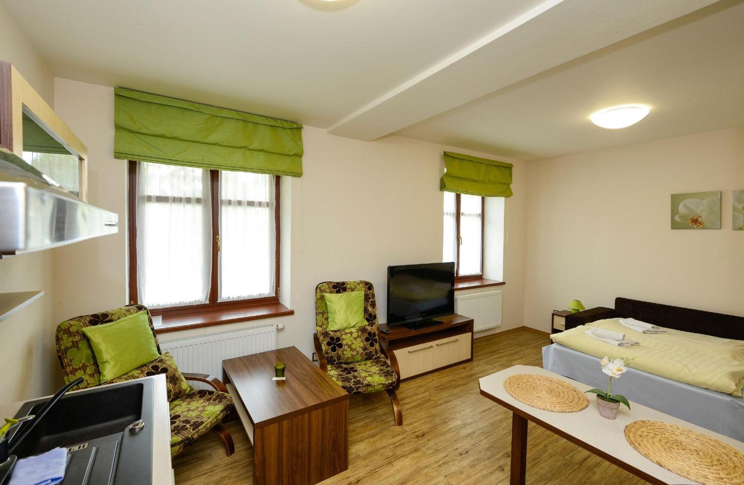 Studio Apartment photo 1
