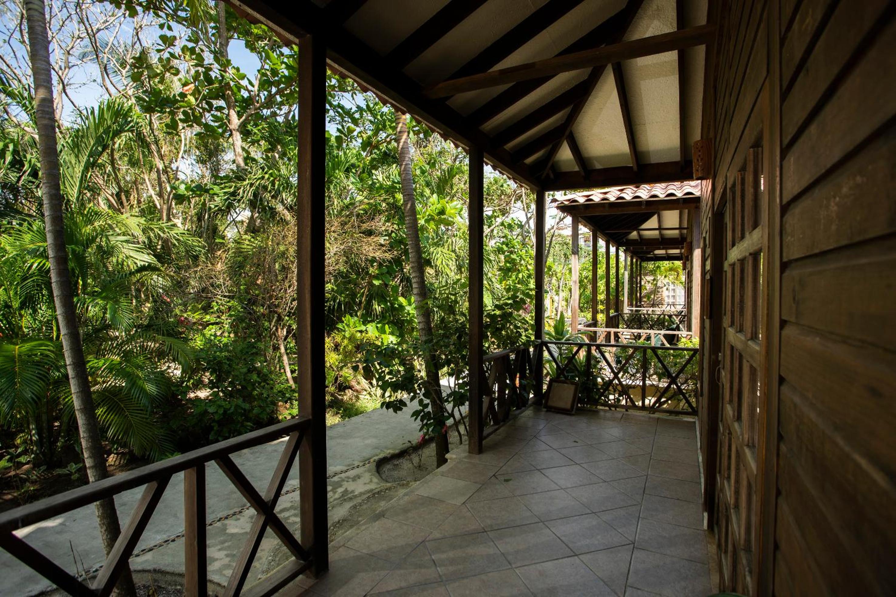Jungle Experience Bungalow - King Bed