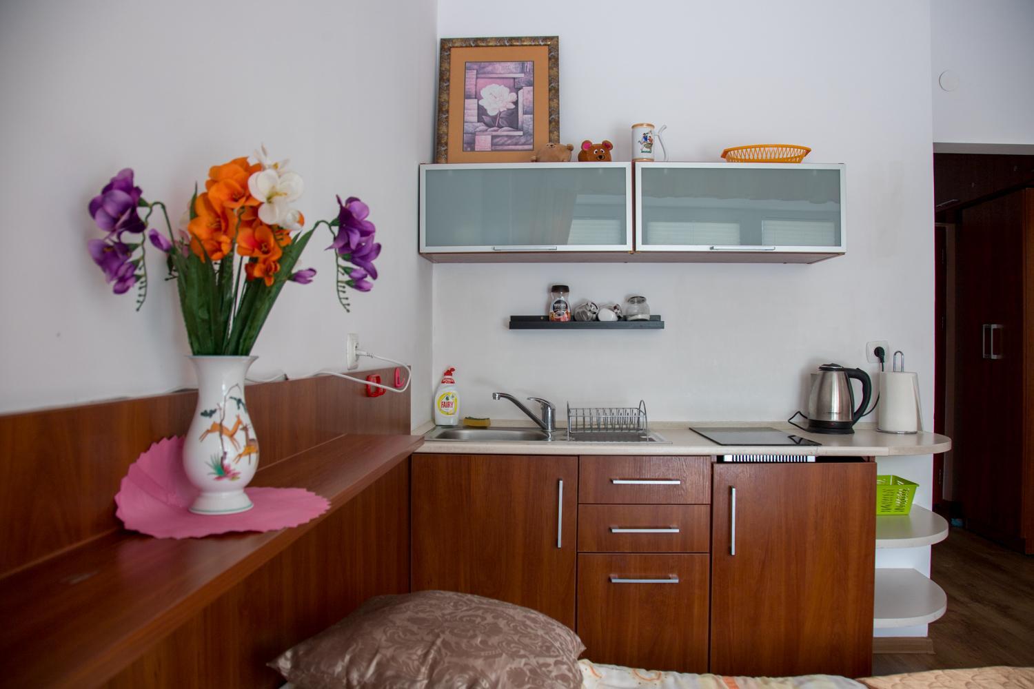 One-Bedroom Apartment - Photo 11