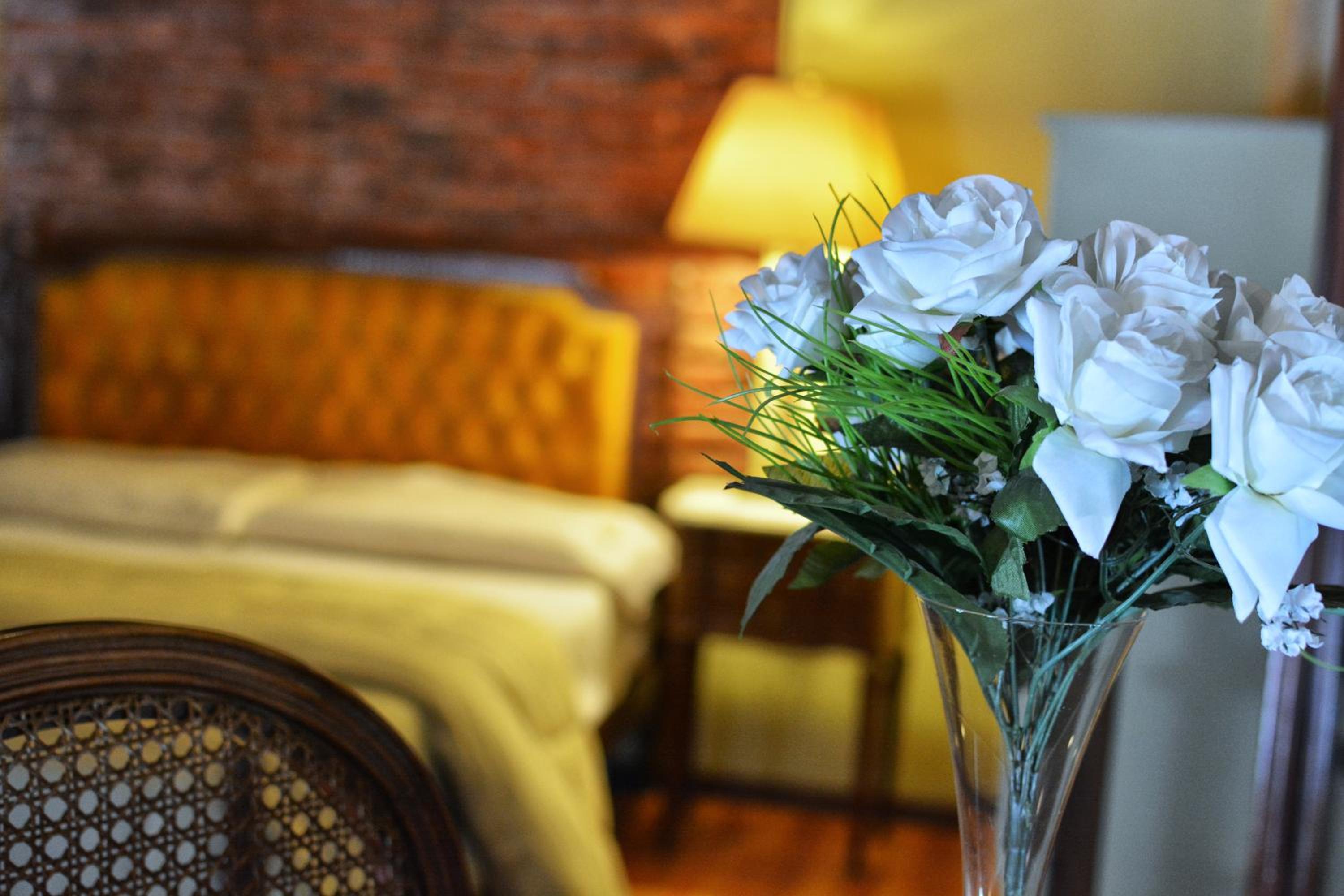 Suite photo 1