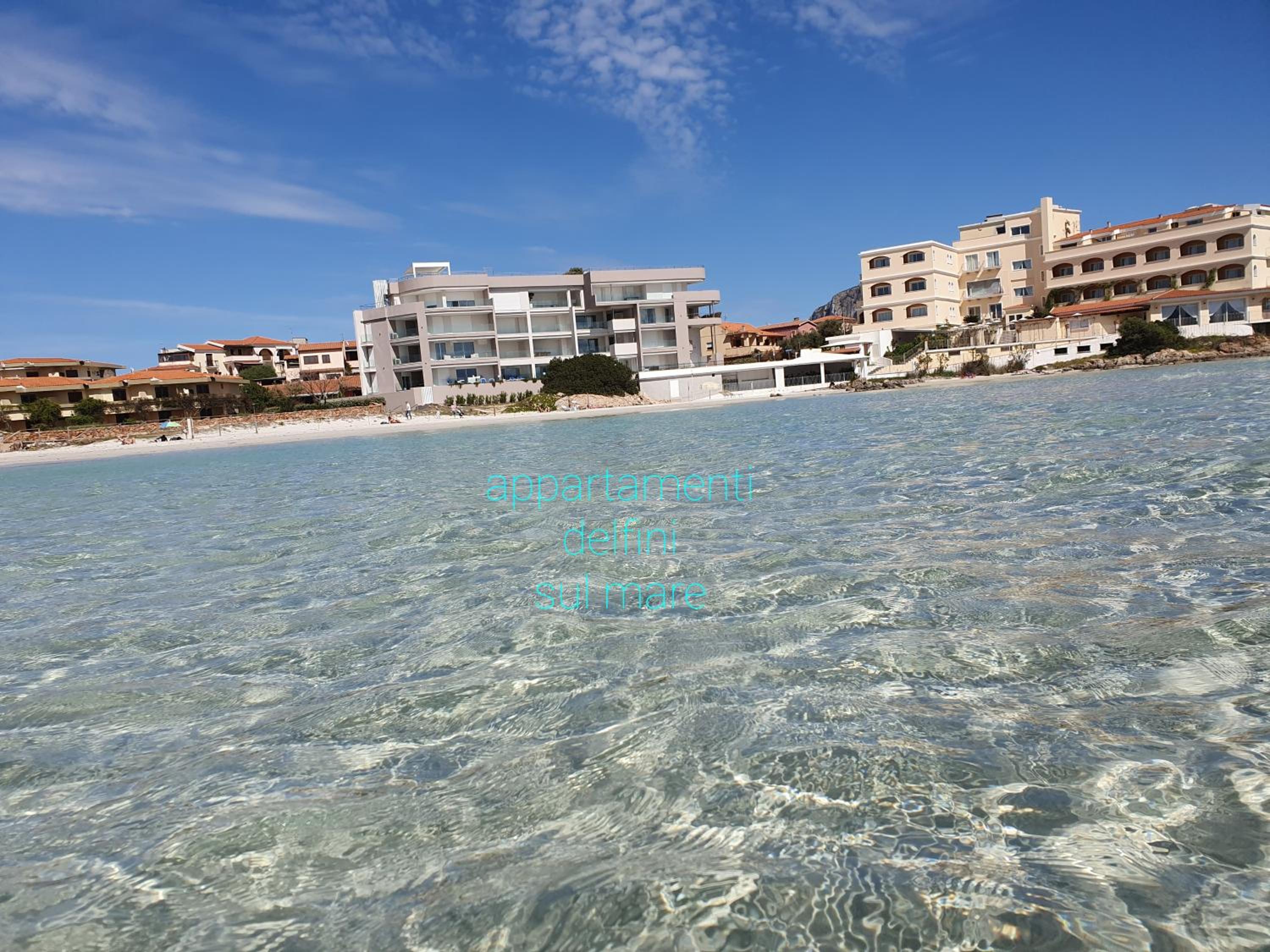 Apartment with Sea View photo 2