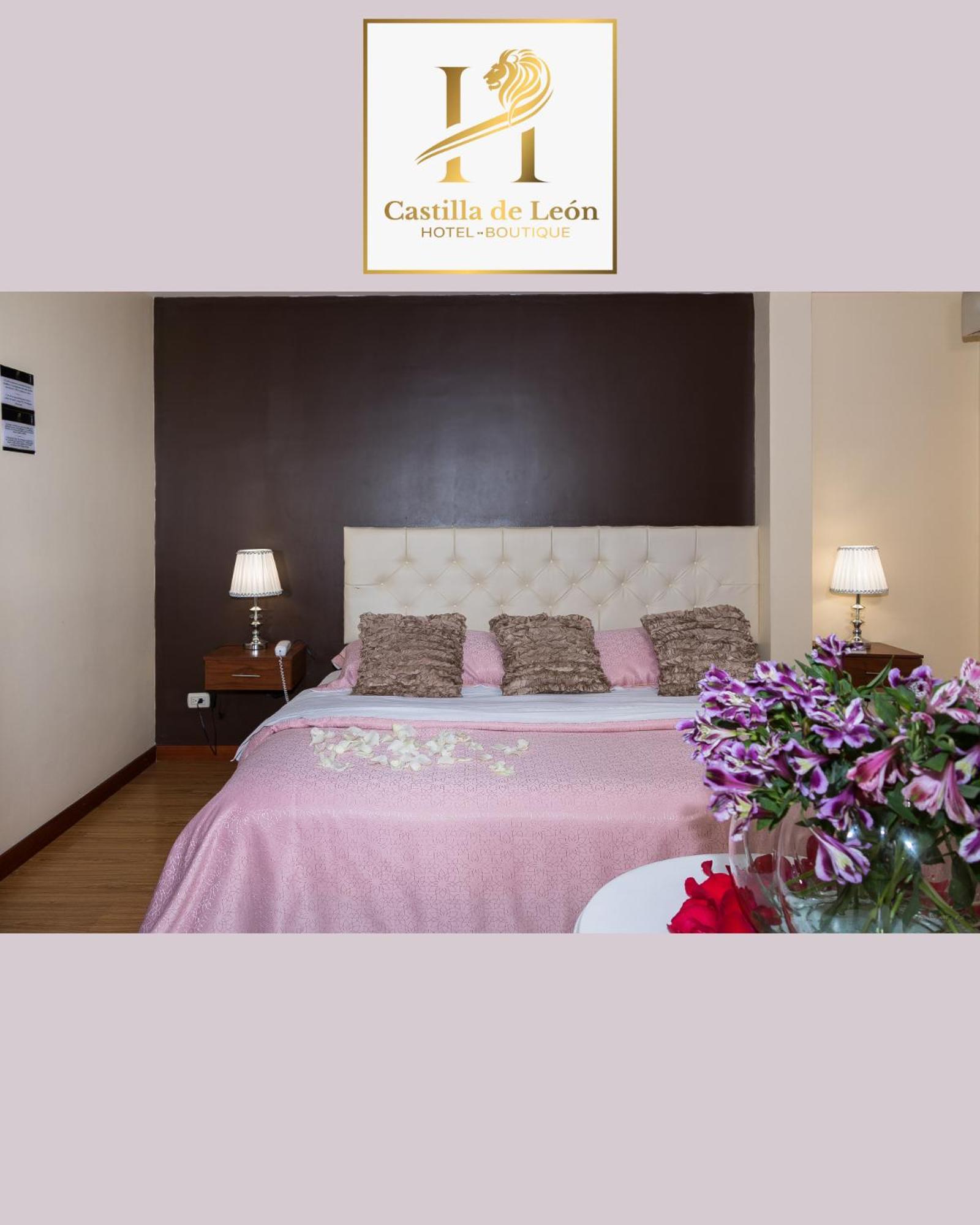 Large Double Room photo 3