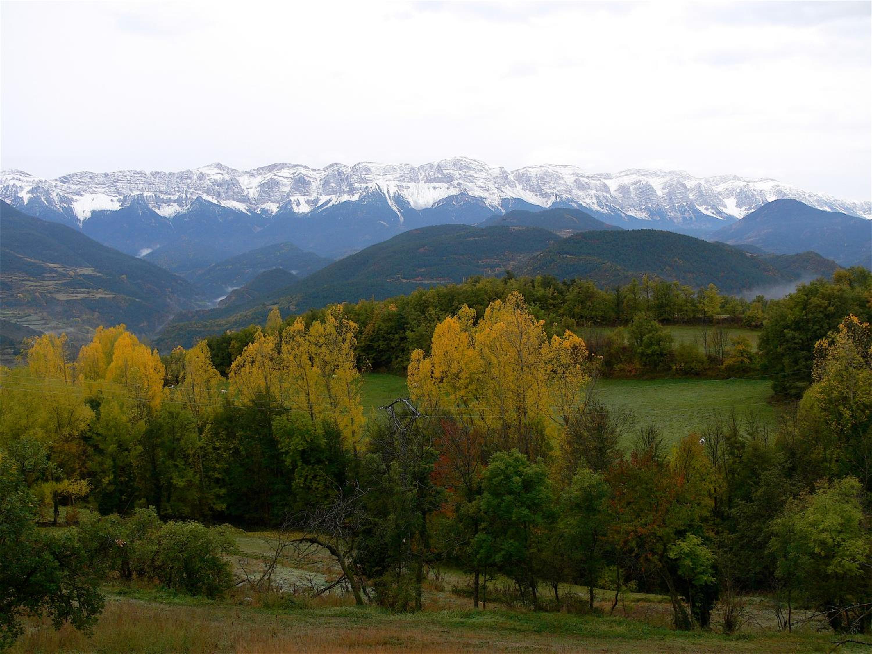 Chalet (6 Adults) - Photo 11