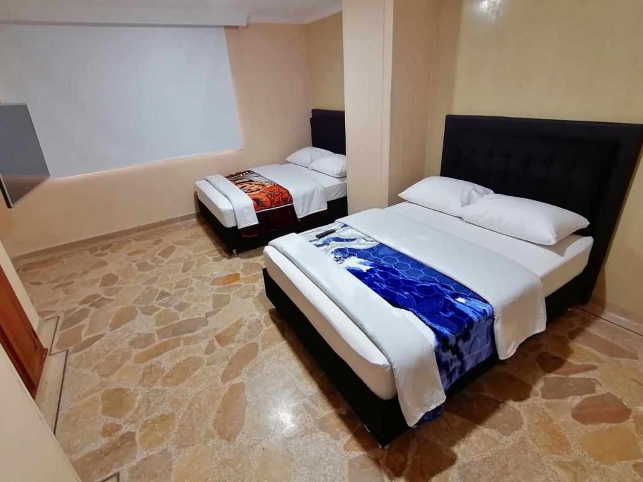 Twin Room photo 3