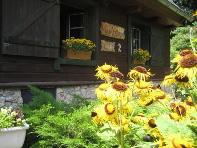 Six-Bedroom House photo 2