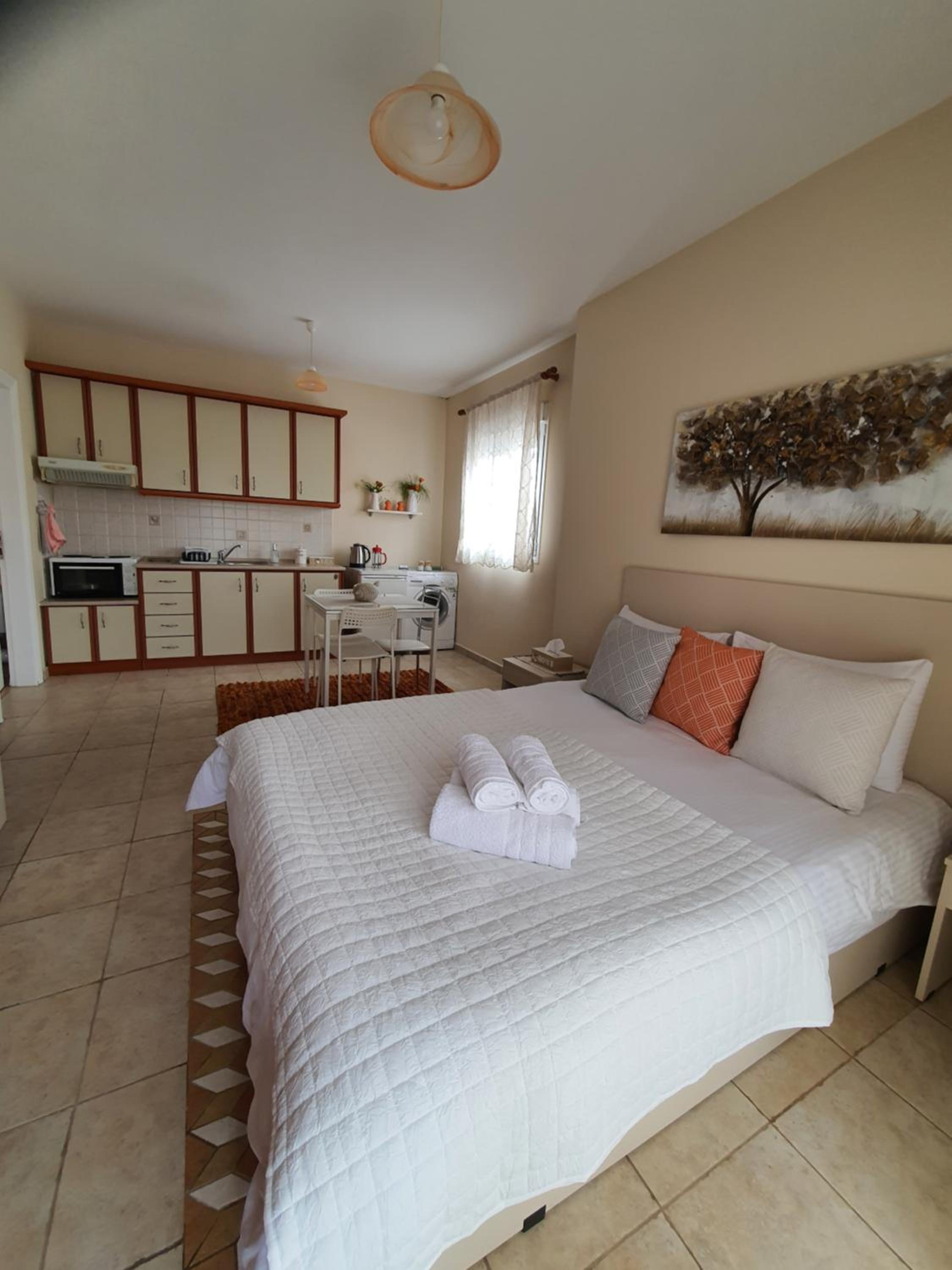 One-Bedroom Apartment - Photo 9
