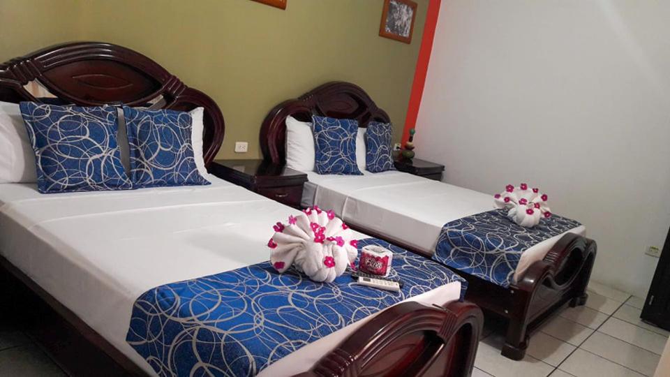 Twin Room photo 2