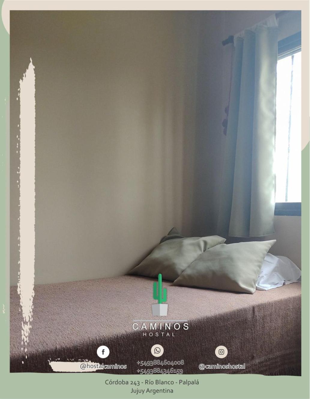 Twin Room photo 3