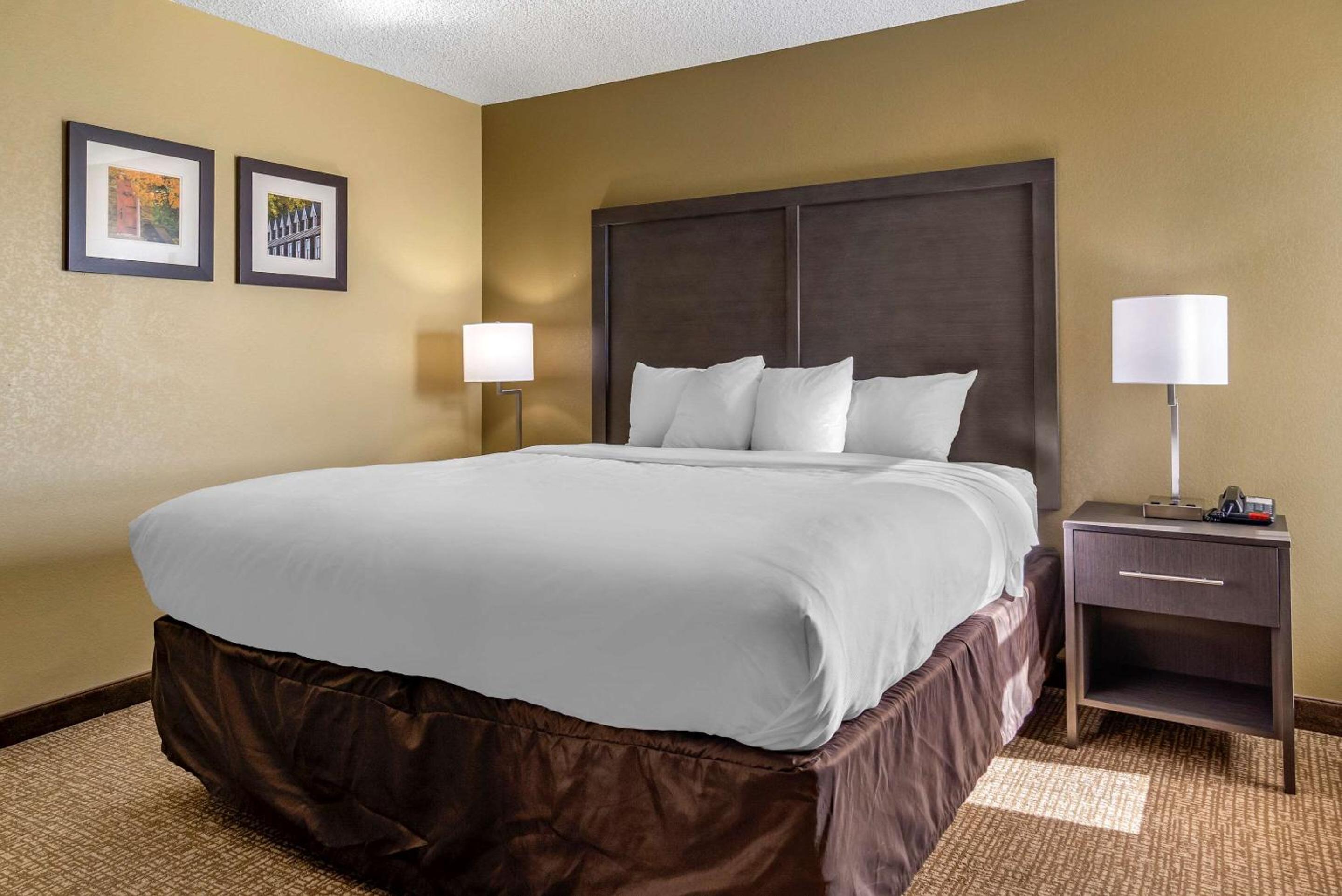 King Suite - Non-Smoking - Photo 1