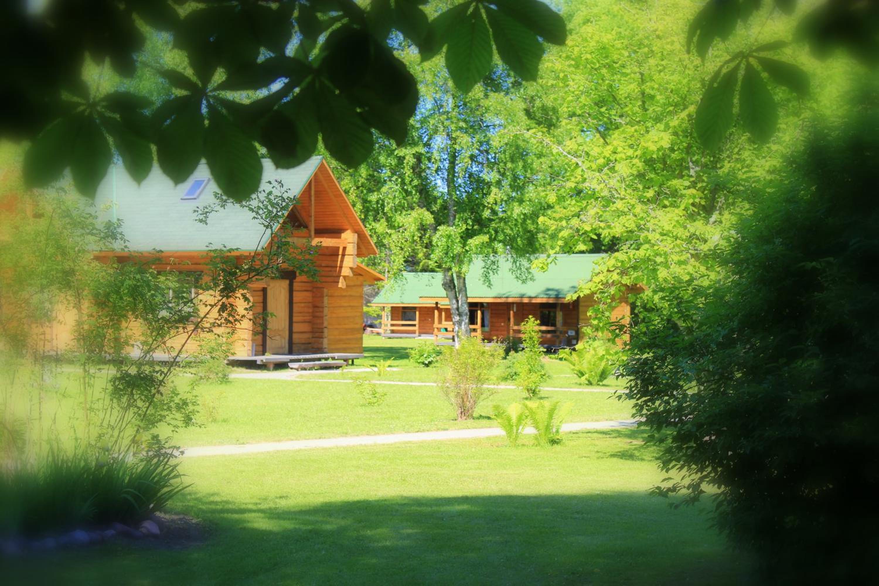 Cottage (4 Adults) photo 1