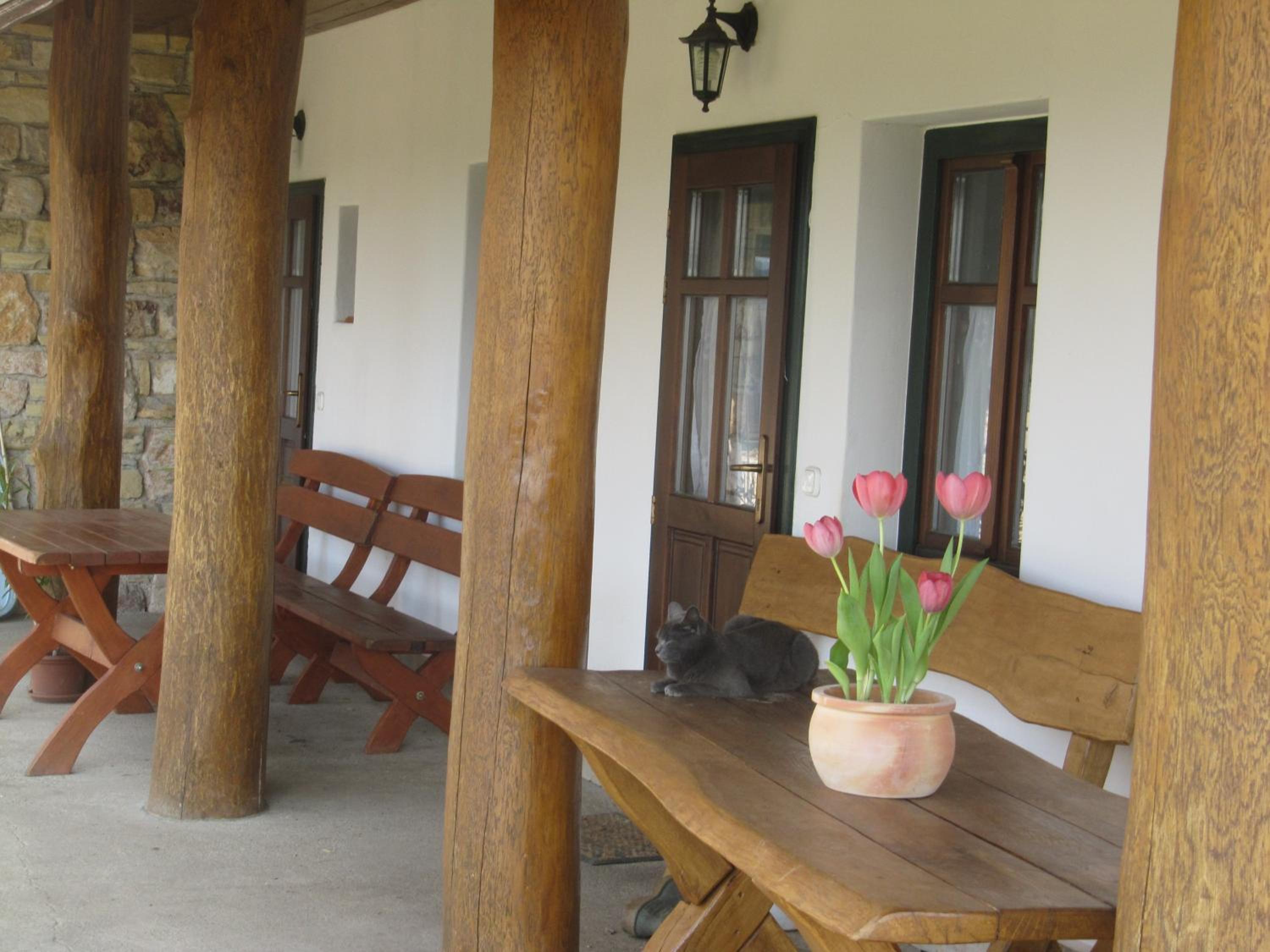 One-Bedroom Apartment - Photo 12