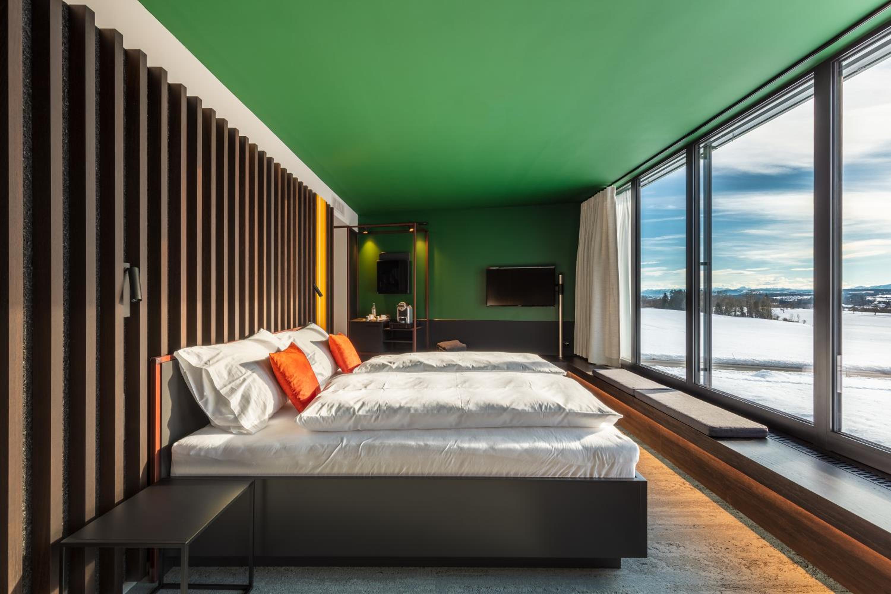 King Room with Mountain View photo 3