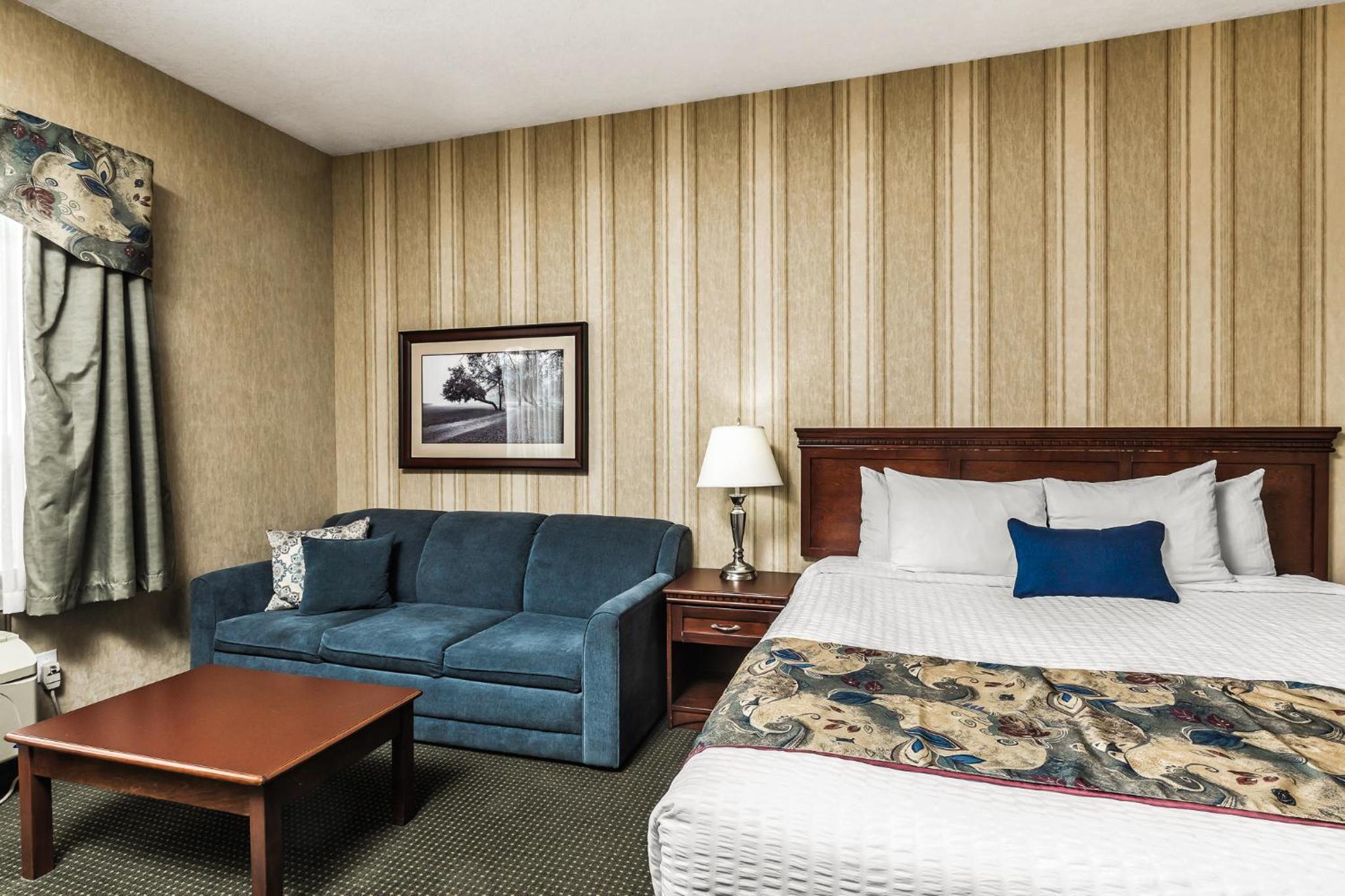 King Room photo 1