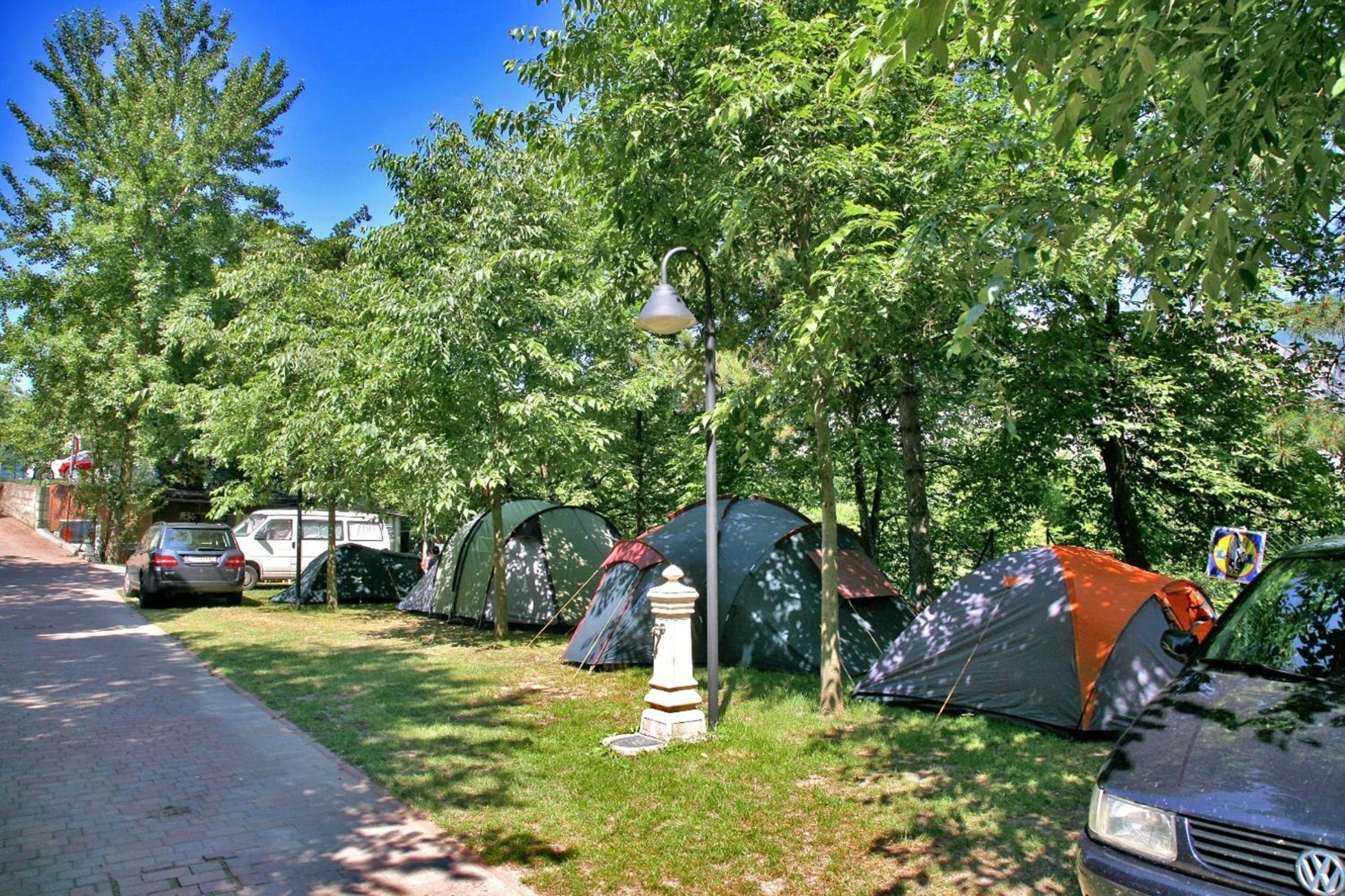 Medium Empty Lot (Bring your own tent or van) - Photo 6