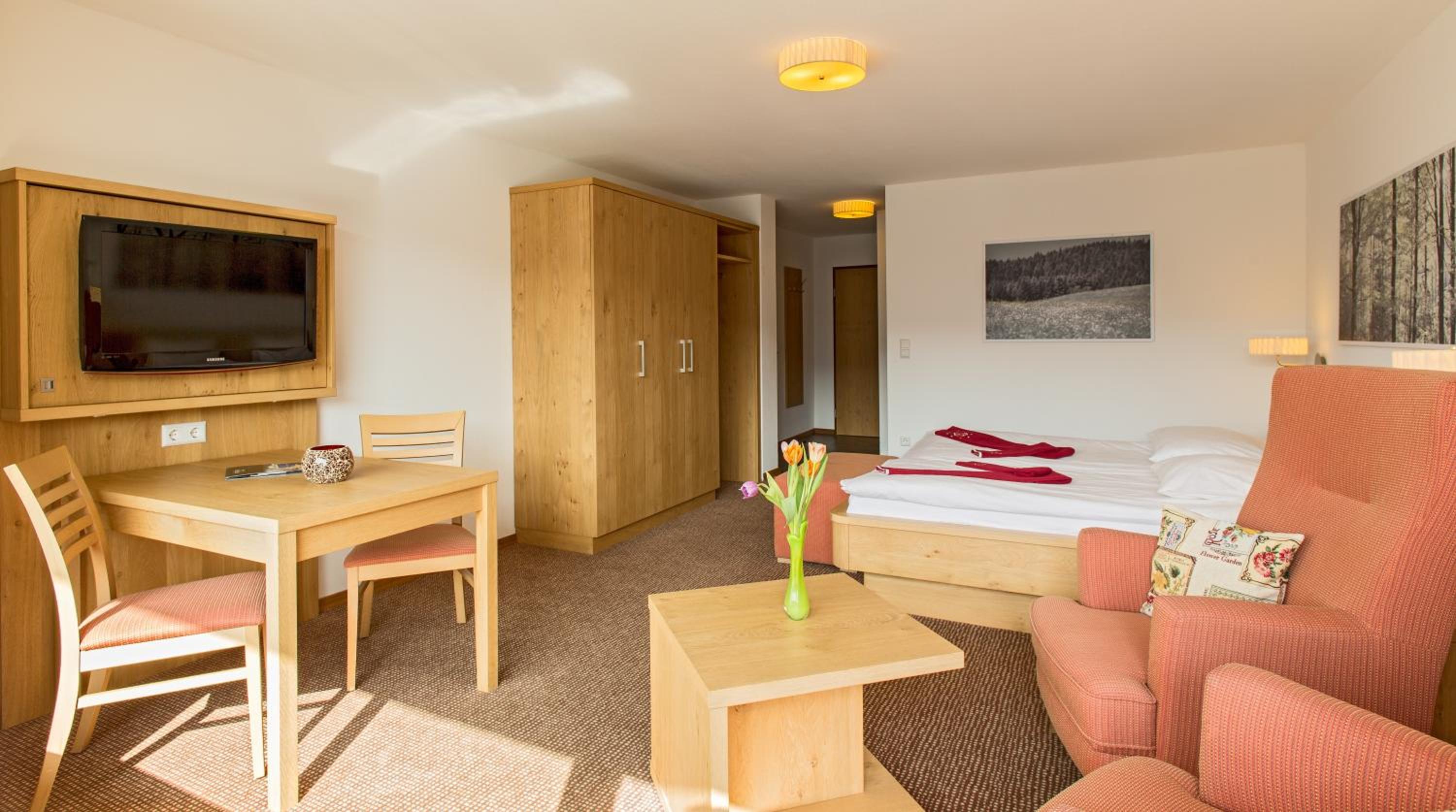 Superior Single Room