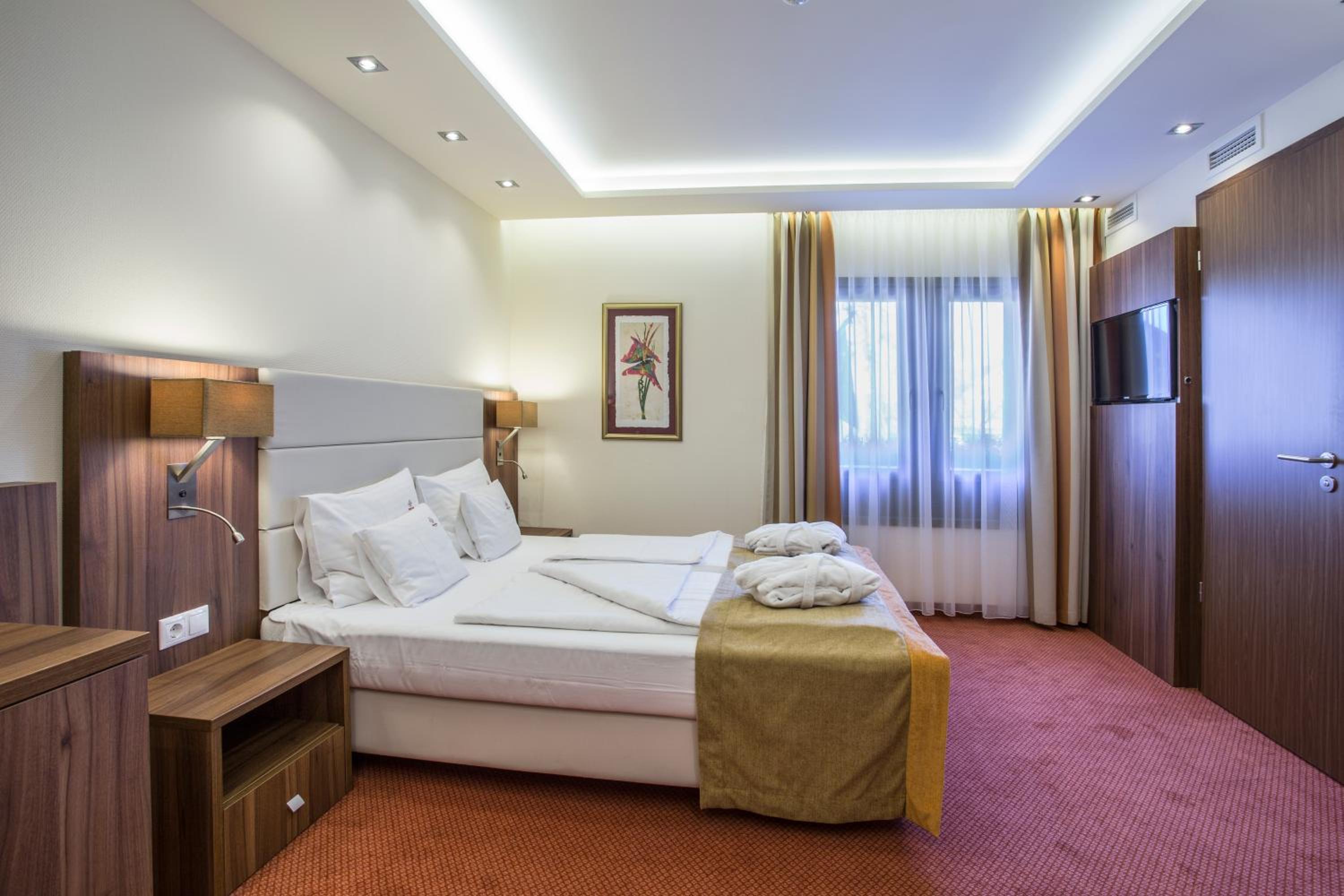  Comfort Double or Twin Room - Photo 1