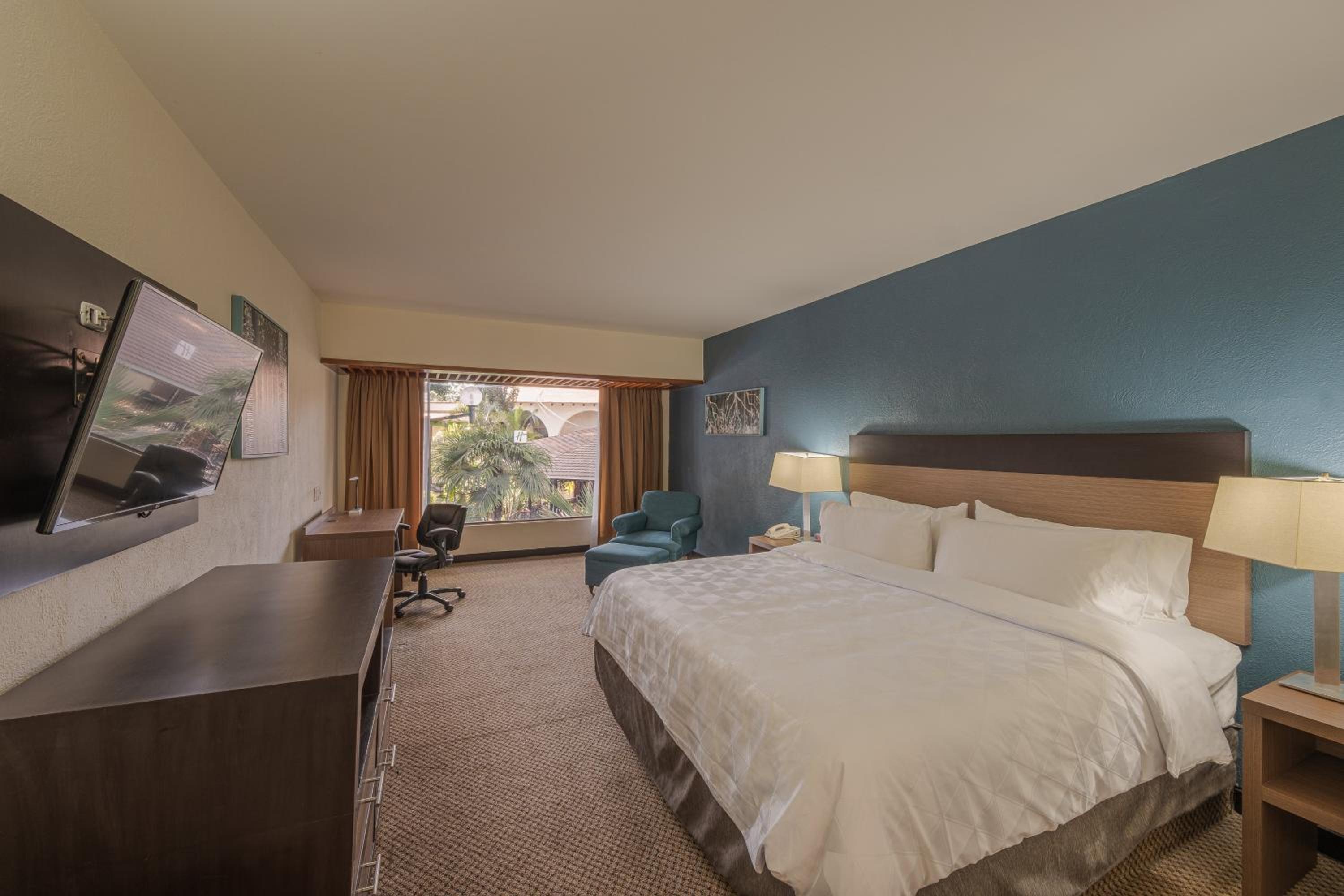 Chambre King avec Vue sur le Jardin - Non-Fumeurs