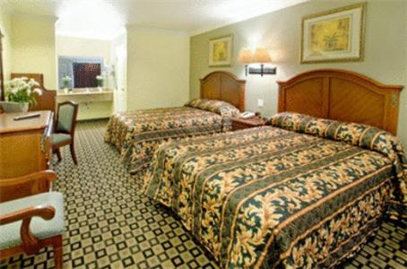 Queen Room with Two Queen Beds