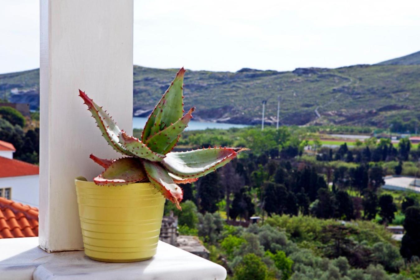 One Bedroom Apartment with Private Balcony - Photo 4