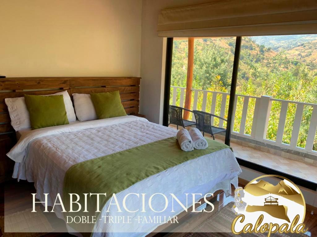 Double Room with Mountain View photo 2