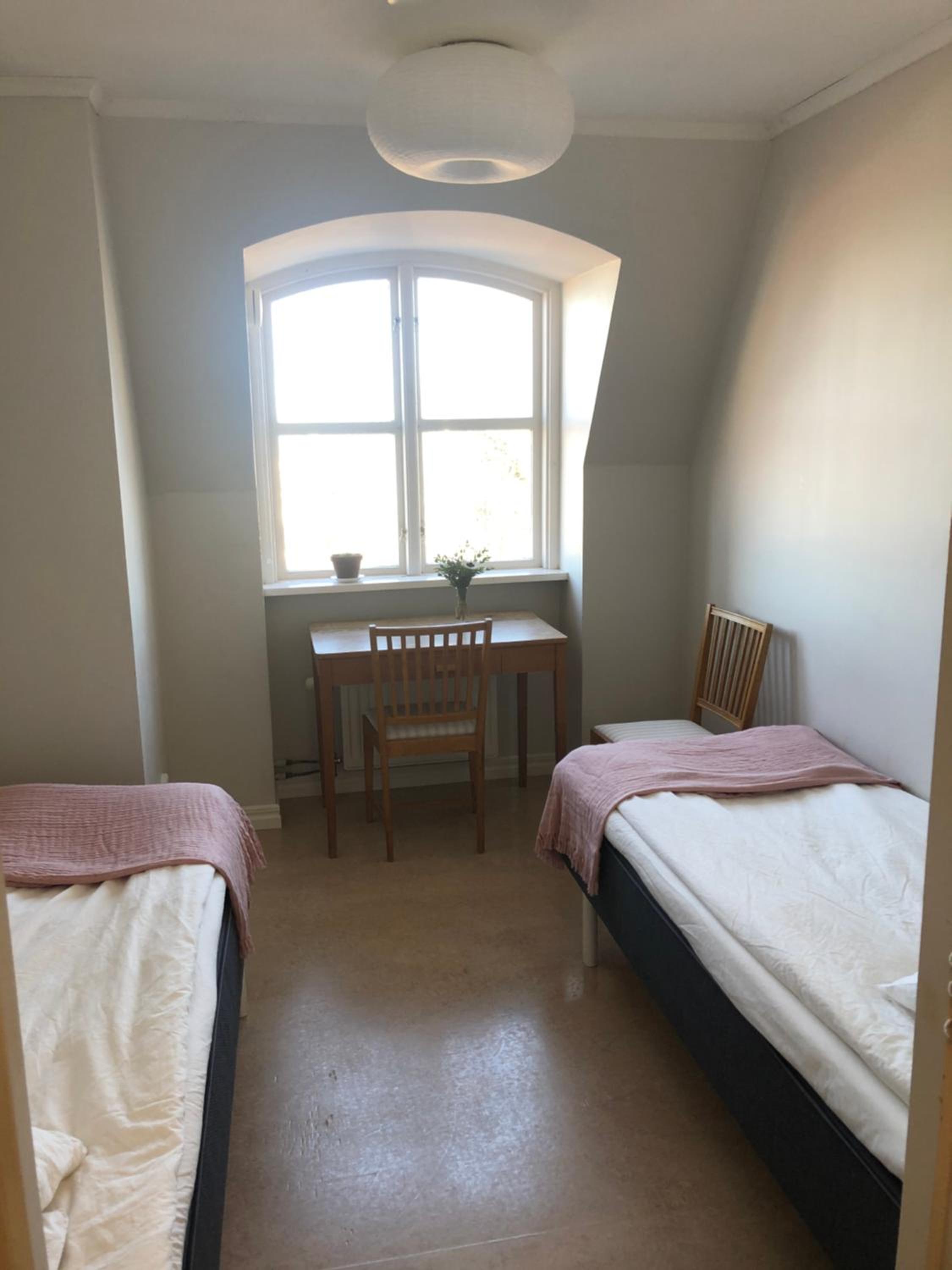 Double or Twin Room photo 1