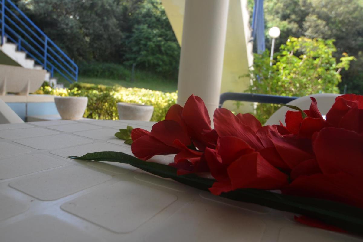 Apartment with Terrace photo 3