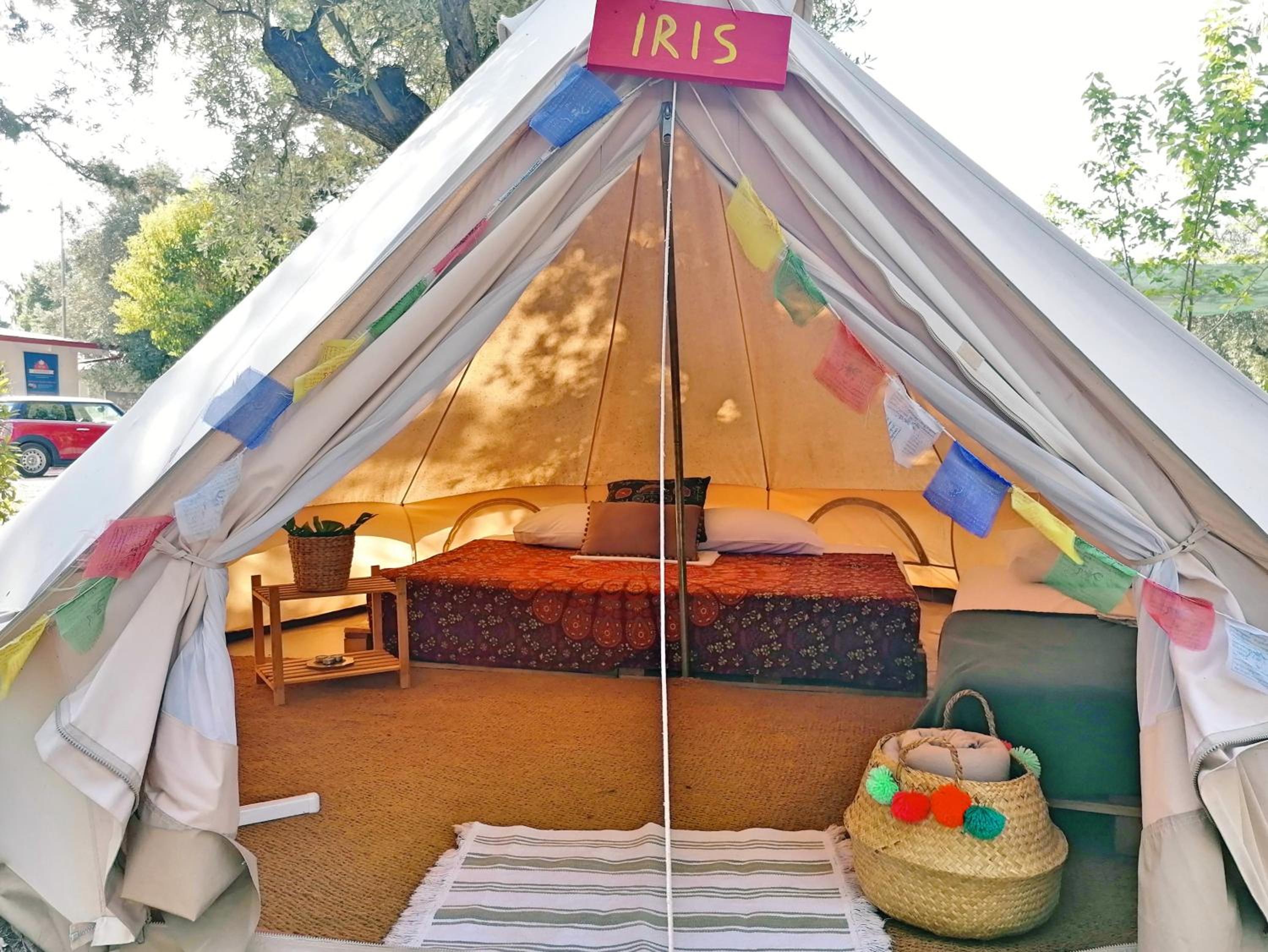 Large Tent - Photo 1