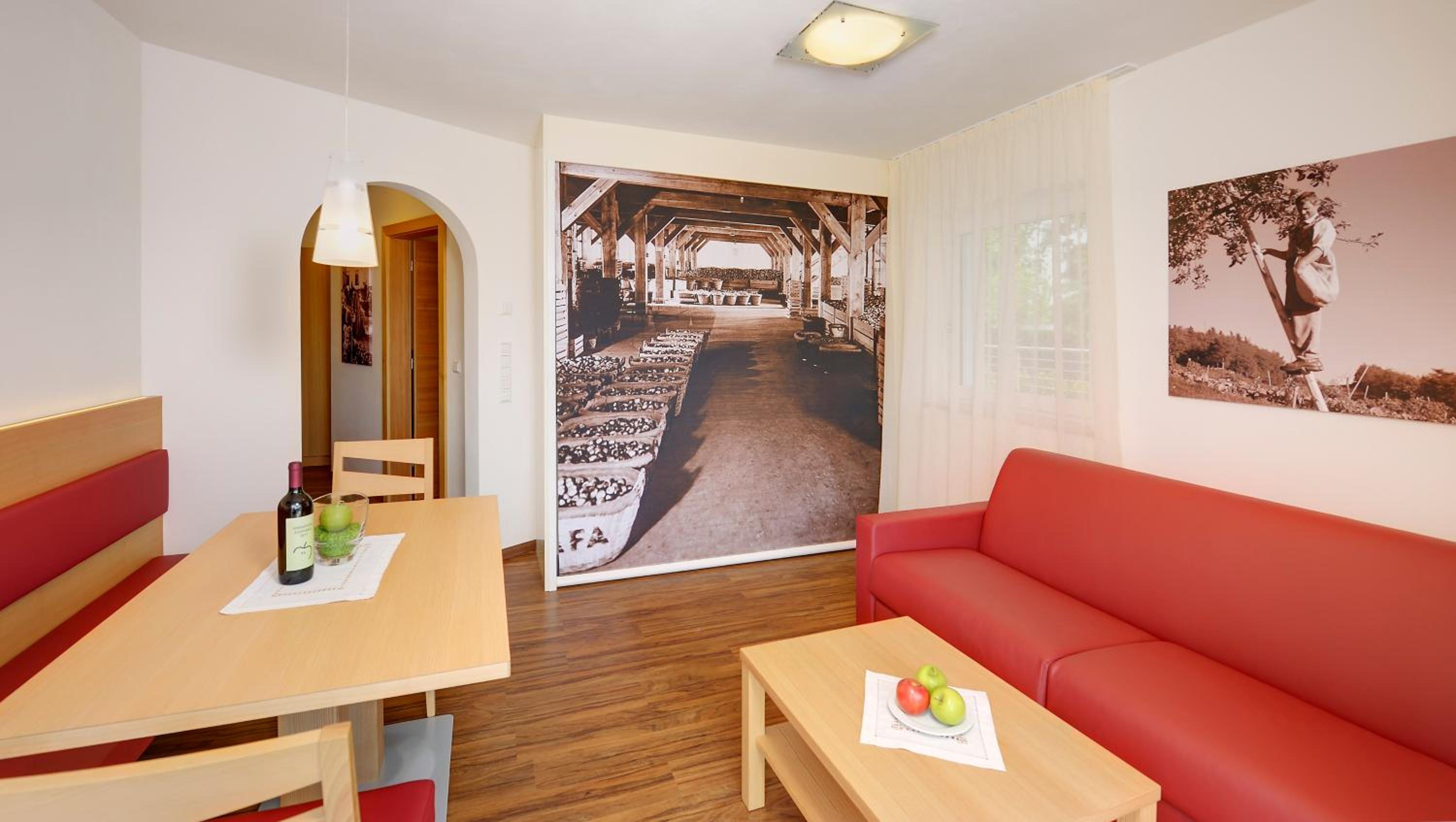 One-Bedroom Apartment