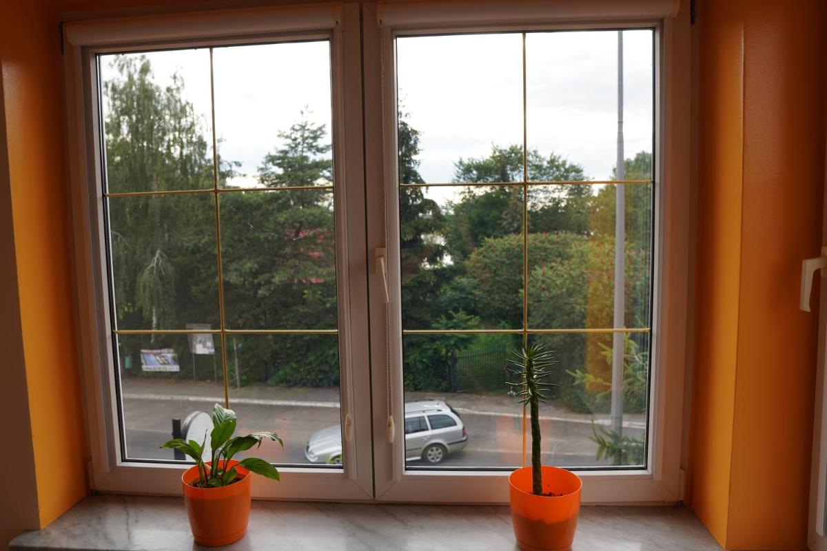 Double Room with Lake View photo 2