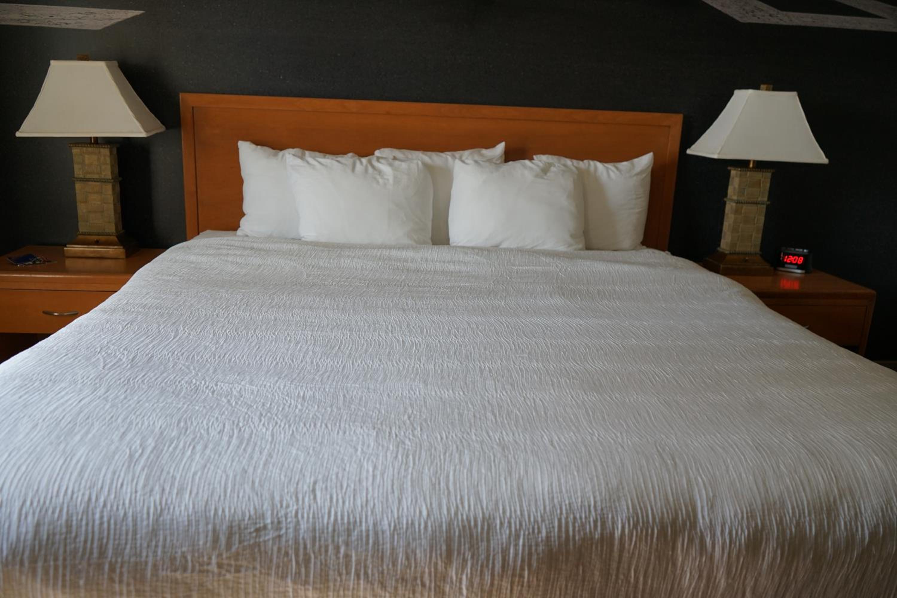 King Room with Roll-In Shower - Disability Access