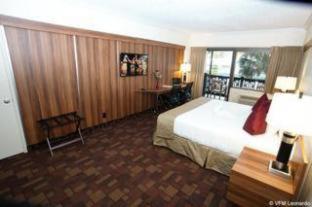Quarto #24105962
